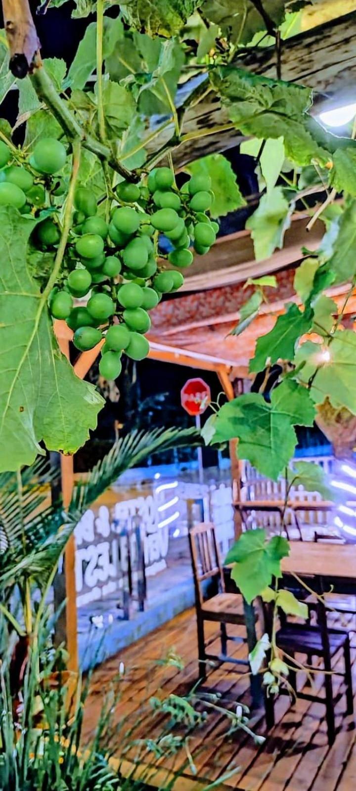 Hostel Vento Leste บอมบินญัส ภายนอก รูปภาพ